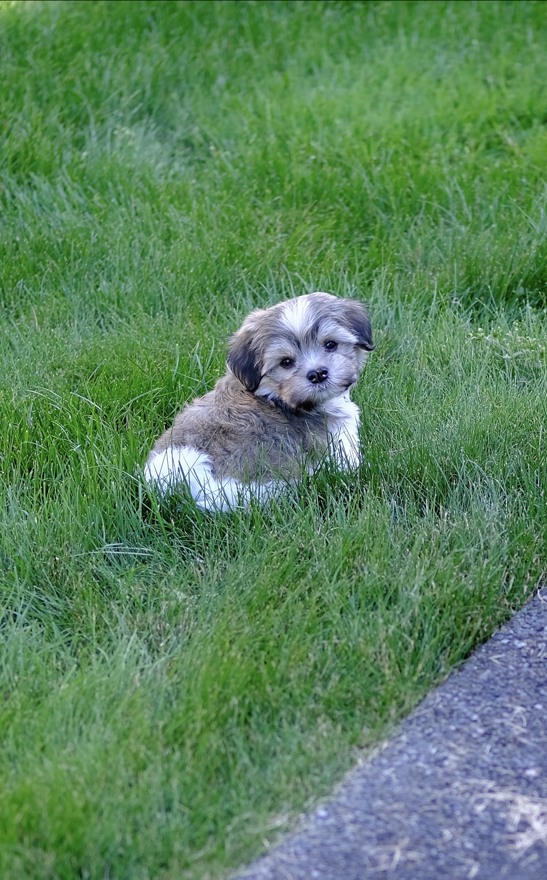 Just a Little&nbsp;Thing