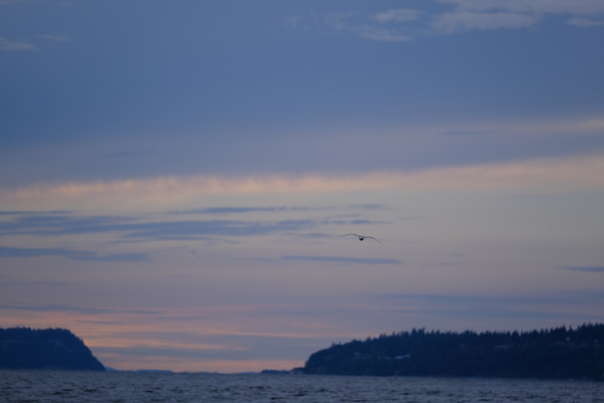 Holding Dreams Loosely